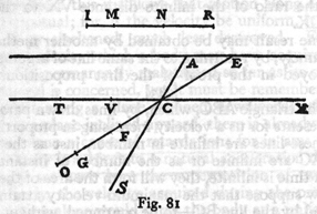 Fig 81